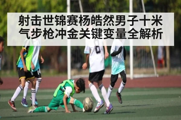 射击世锦赛杨皓然男子十米气步枪冲金关键变量全解析
