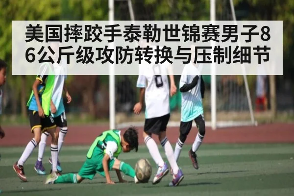 美国摔跤手泰勒世锦赛男子86公斤级攻防转换与压制细节